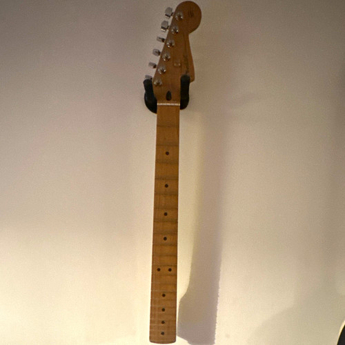 Fender stratocaster roast - fender,