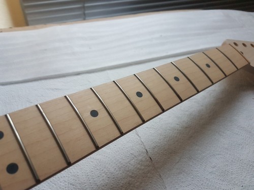 Fender stratocaster maple - stratocaster,
