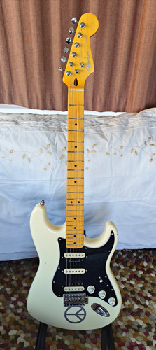 Stratocaster partscaster - stratocaster,